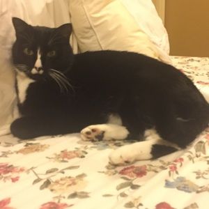 Meet your Posher, Hana